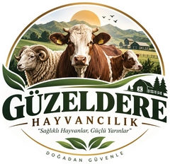Güzeldere Hayvancılık