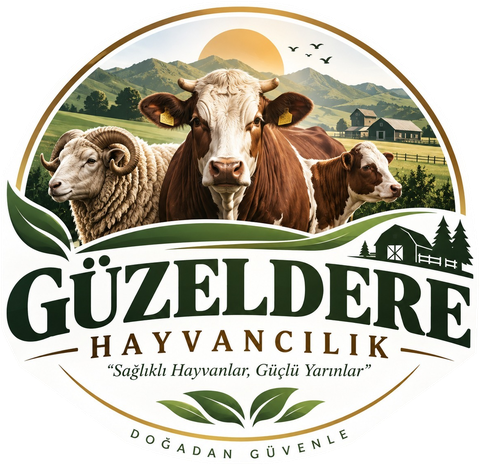 Güzeldere Hayvancılık — Sağlıklı Hayvanlar, Güçlü Yarınlar